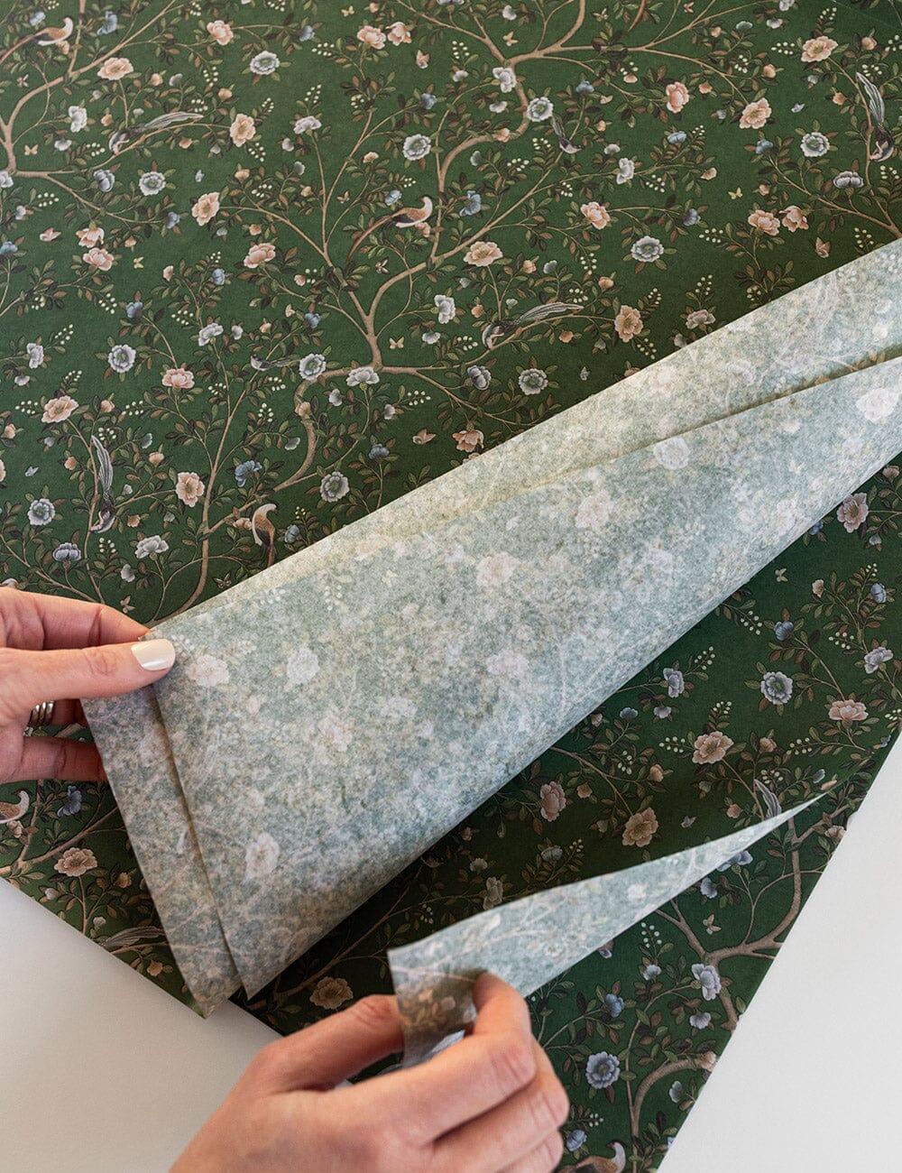 4pk Tissue Paper - Camellia Tree - Image 3