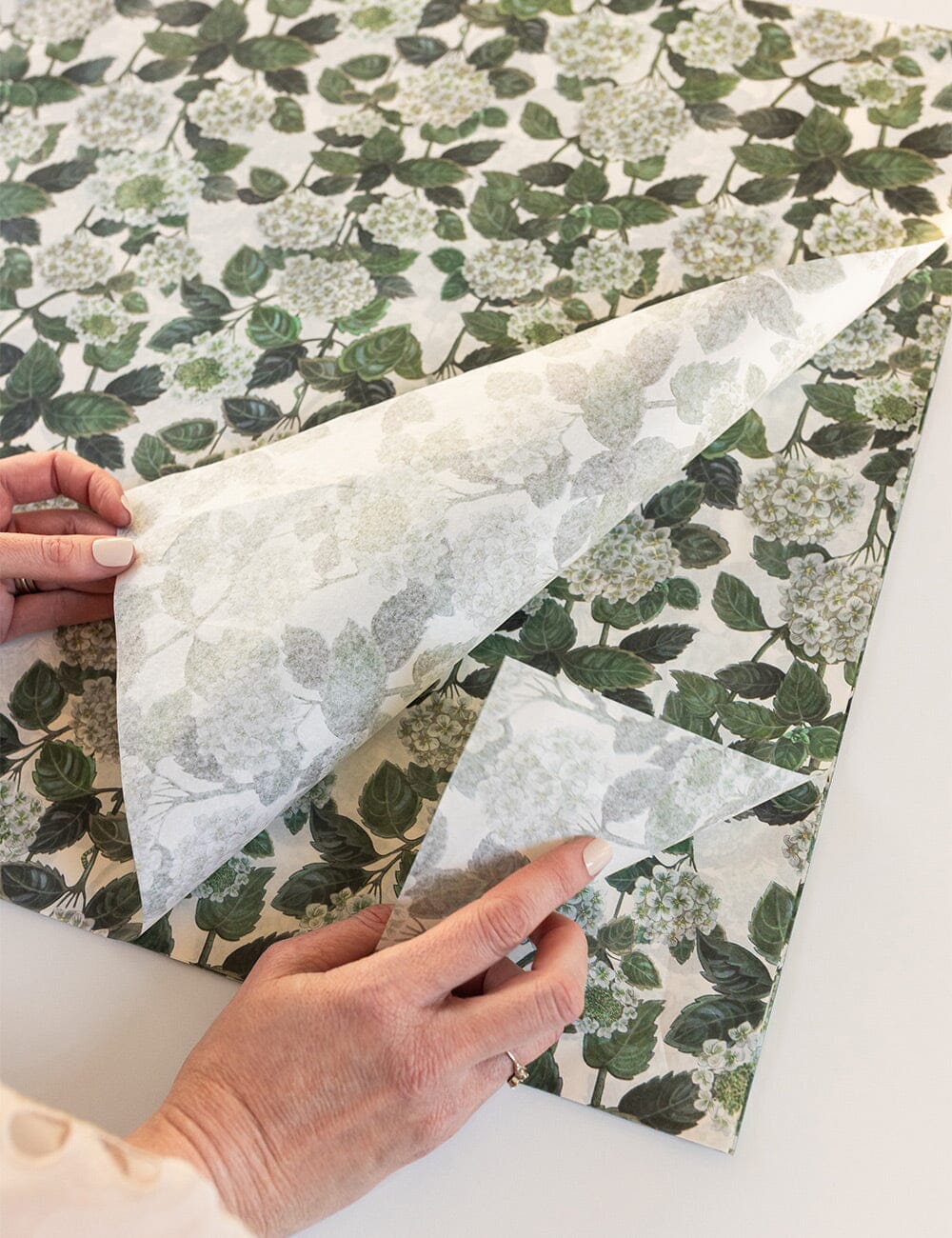 4pk Tissue Paper - Hydrangea - Image 3