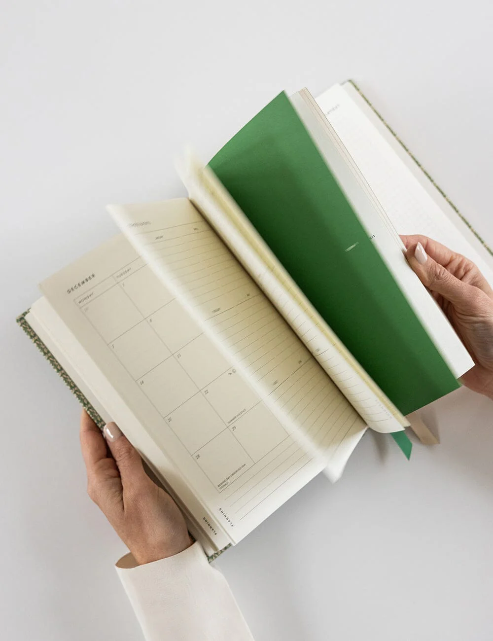 2026 Teachers Desktop Planner - Finch Bramble - Image 6