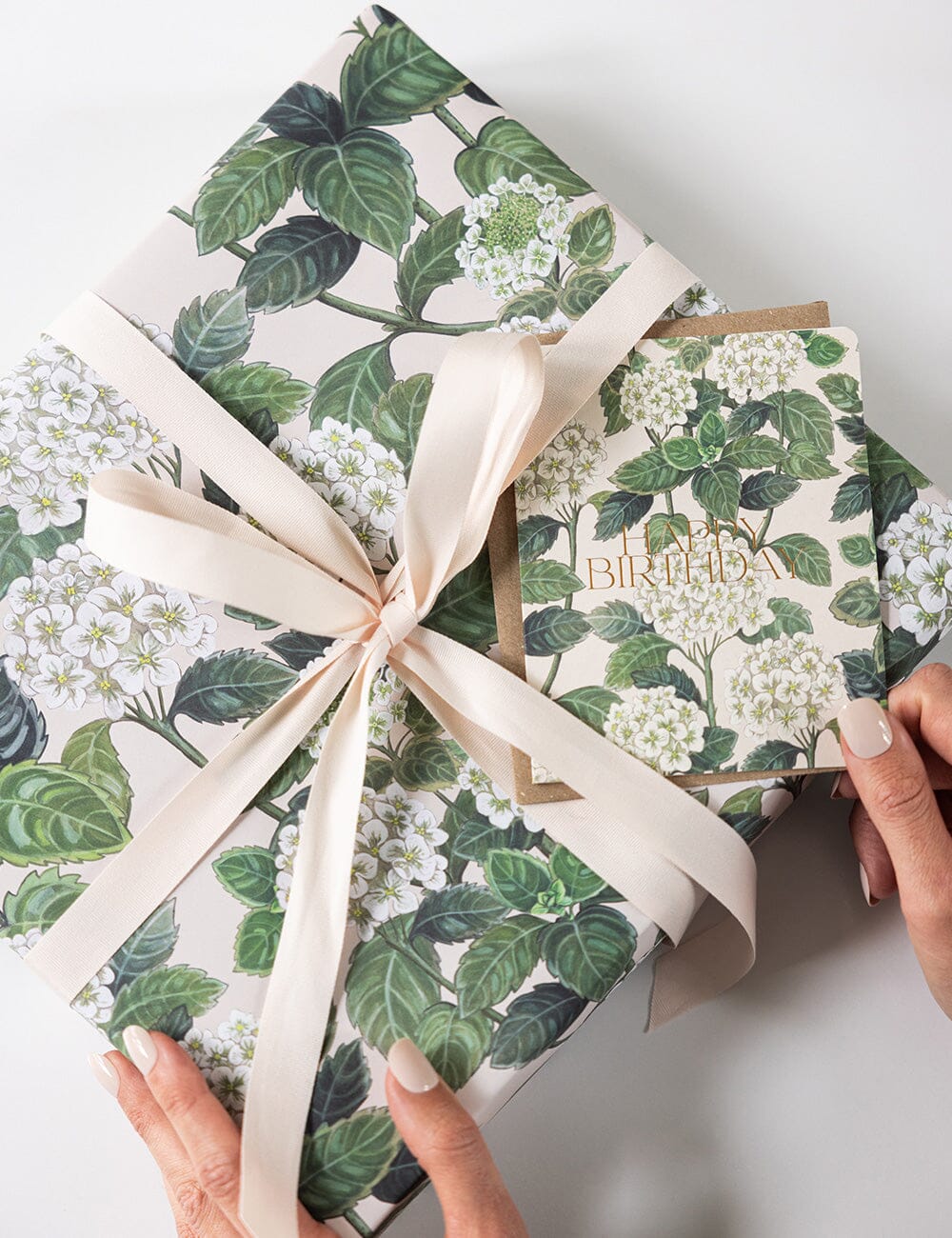 Hydrangea / Jardin Tropical Gift Wrap 100pk - Image 5